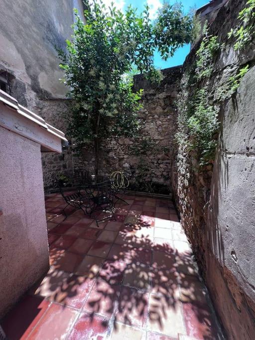 Charmante Maison Renovee Nérac Kültér fotó